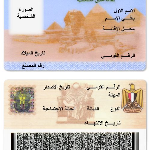 مقترح استبدال مسمى ربة منزل بـ صانعة جيل لتقدير الأمهات في الأوراق الرسمية