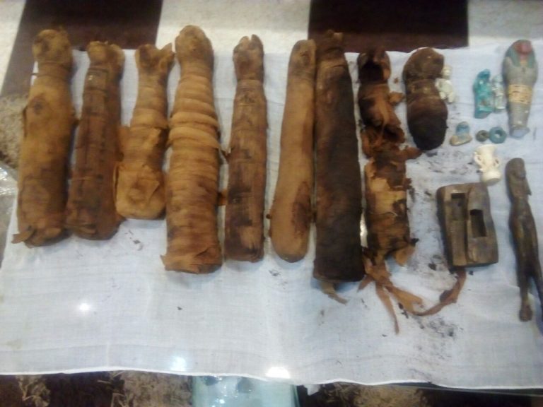 باحثة: الذكاء الاصطناعى يساهم فى تتبع لصوص الآثار