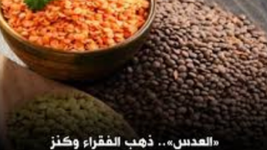 فوائد العدس