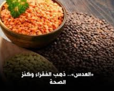 فوائد العدس