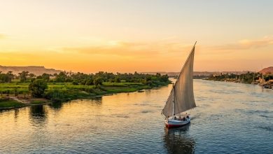 مياه نهر النيل وحماية الأمن المائي لمصر وتصريحات وزير الري