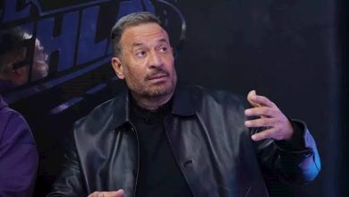 ماجد المصري