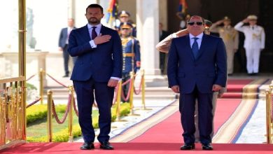 الرئيس عبد الفتاح السيسي يستقبل رئيس الجبل الأسود