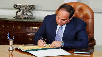 الرئيس عبد الفتاح السيسي يصدق على قانون إعادة تنظيم جهاز مستقبل مصر للتنمية المستدامة