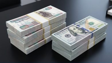 سعر الدولار اليوم أمام الجنيه المصري