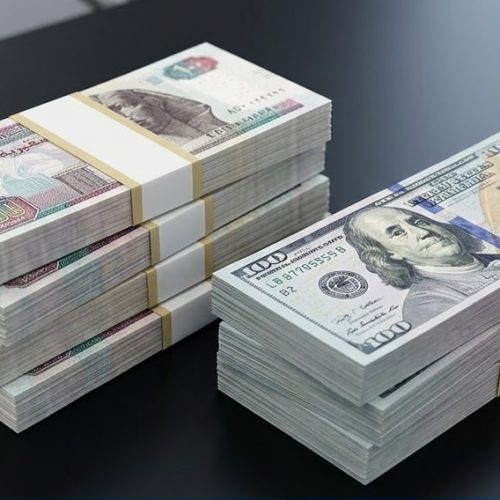 سعر الدولار اليوم أمام الجنيه المصري