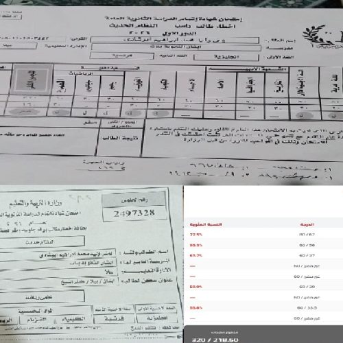 أزمة الطالبة يمنى وليد في نتيجة الثانوية العامة