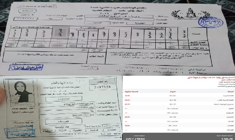 أزمة الطالبة يمنى وليد في نتيجة الثانوية العامة