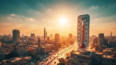 ارتفاع درجات الحرارة والرطوبة على أغلب الأنحاء اليوم