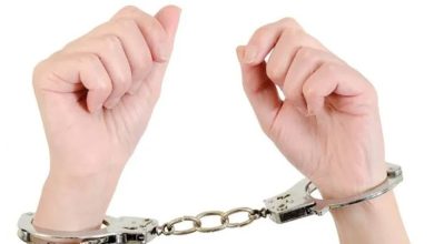 صانعة محتوى