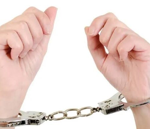 صانعة محتوى