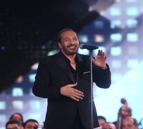 علي الحجار