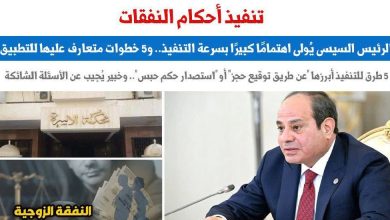 تنفيذ أحكام النفقات والأجور والمصروفات في القانون المصري وحقوق الأسرة