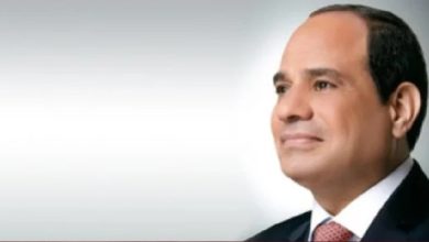 الرئيس السيسي يستقبل وزير الدفاع اليوناني لبحث الشراكة العسكرية