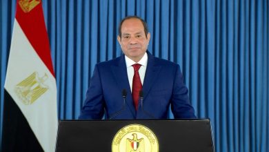 السيسي