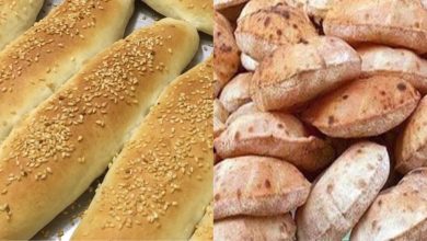 الفينو والخبز السياحي