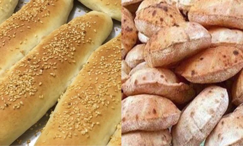الفينو والخبز السياحي