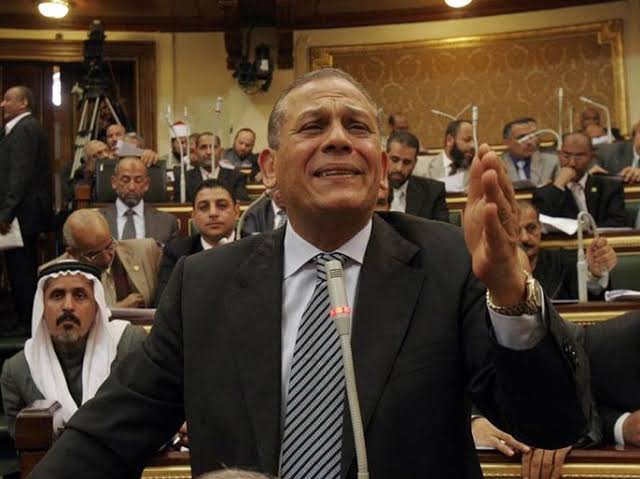 السادات: سد النهضة تهديد لملايين البشر.. والأمن المائي قضية حقوق إنسان