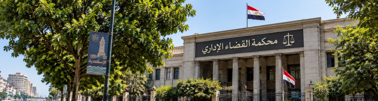 إزالة الأشجار