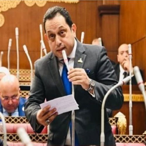 النائب محمد الجندي يطالب بإعادة ترتيب أولويات الاستيراد وتعزيز المكون المحلي