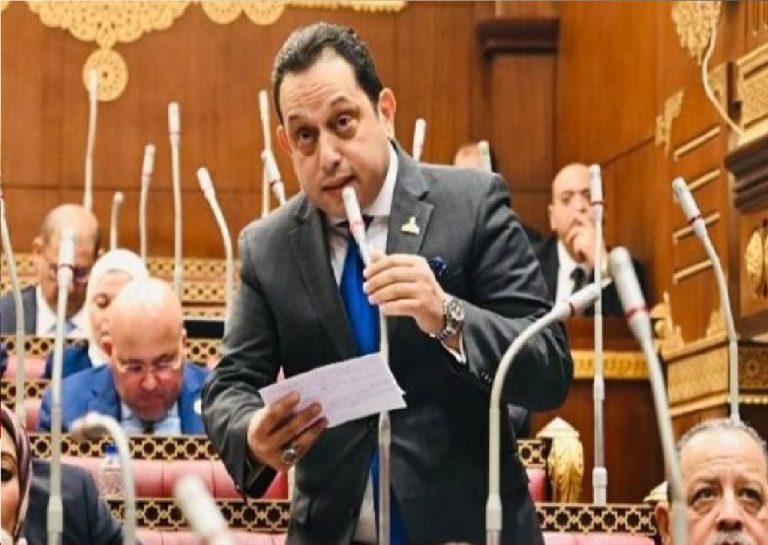 النائب محمد الجندي يطالب بإعادة ترتيب أولويات الاستيراد وتعزيز المكون المحلي