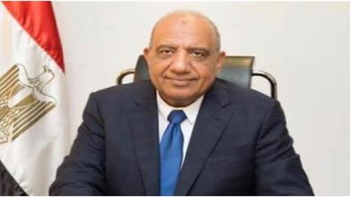 محمود عصمت, وزير الكهرباء, الطاقة المتجددة, أمن الطاقة, محطة الضبعة, الربط الكهربائي, مشروع GREGY, الطاقة الشمسية, طاقة الرياح, كفاءة الطاقة, تخزين الكهرباء