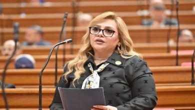 العلاقات المصرية القبرصية: برلمانية تشيد بدور مصر في دعم استقرار المنطقة