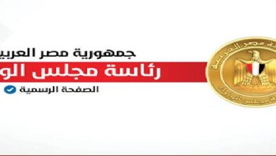 الذكاء الاصطناعي في مصر، مركز المعلومات ودعم اتخاذ القرار، استطلاع رأي مجلس الوزراء، وظائف المستقبل، الخصوصية الرقمية.