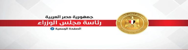 الذكاء الاصطناعي في مصر، مركز المعلومات ودعم اتخاذ القرار، استطلاع رأي مجلس الوزراء، وظائف المستقبل، الخصوصية الرقمية.