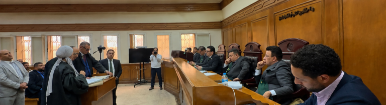 قضية أسرة التجمع وقرار محكمة جنايات القاهرة بشأن المتهم