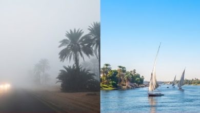 حالة الطقس اليوم ودرجات الحرارة المتوقعة في مصر - الأرصاد الجوية.