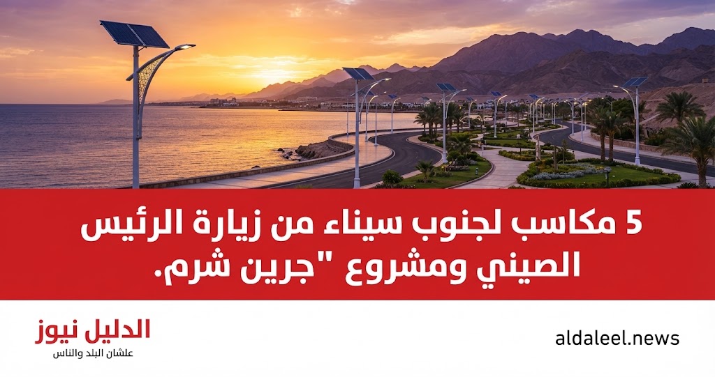  أعمدة إنارة بالطاقة الشمسية في جنوب سيناء ضمن المنحة الصينية - الدليل نيوز.