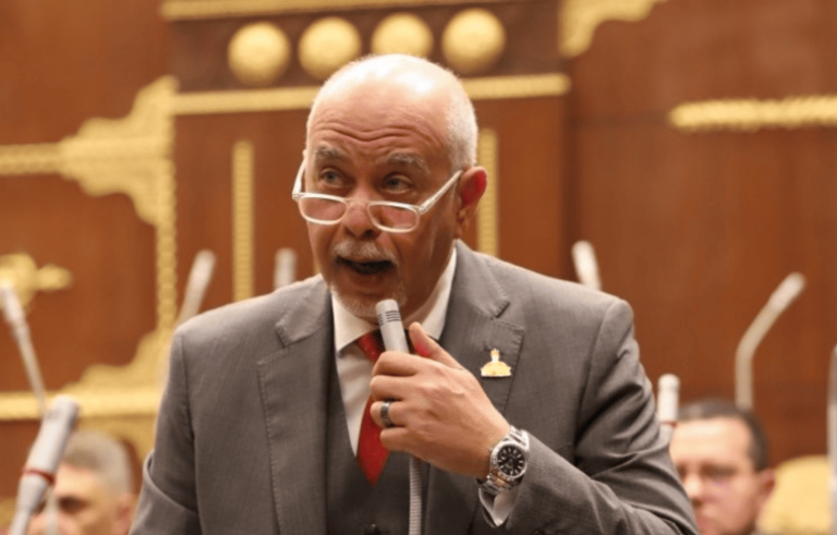 النائب حازم الجندي يدعو لإعادة تشغيل المصانع المتعثرة