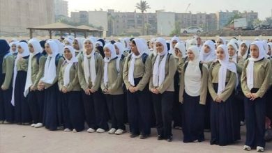 الدراسة