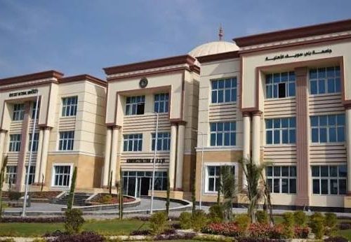 جامعة شرق بورسعيد الأهلية