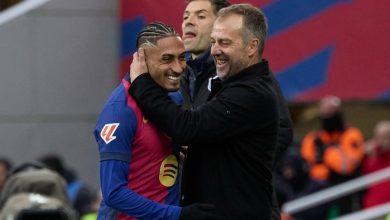 رافينيا
