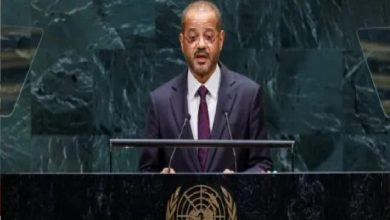 وزير الخارجية العماني يؤكد التزام سلطنة عمان بحماية الملاحة في مضيق هرمز