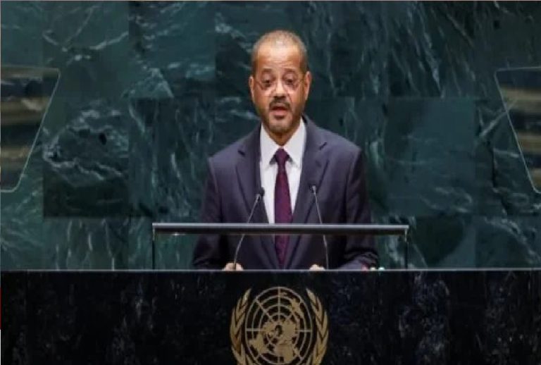 وزير الخارجية العماني يؤكد التزام سلطنة عمان بحماية الملاحة في مضيق هرمز