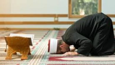 الإفتاء