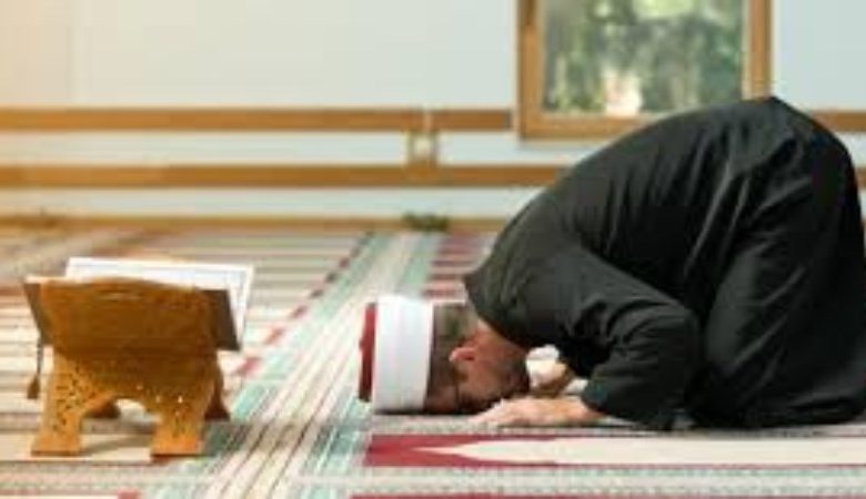 الإفتاء
