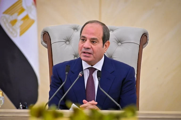 السيسي: التفريط في أمن مصر المائي رهان خاسر