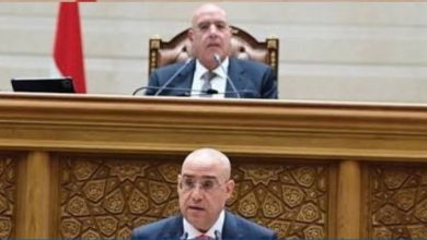 لجنة النواب توافق على إلغاء المادة 25 من قانون جامعة كيان