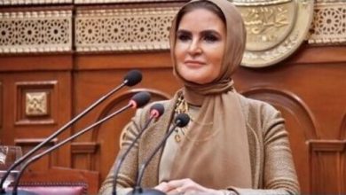 الدكتورة سحر نصر وكيل لجنة الشئون المالية والاقتصادية بمجلس الشيوخ