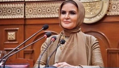 الدكتورة سحر نصر وكيل لجنة الشئون المالية والاقتصادية بمجلس الشيوخ