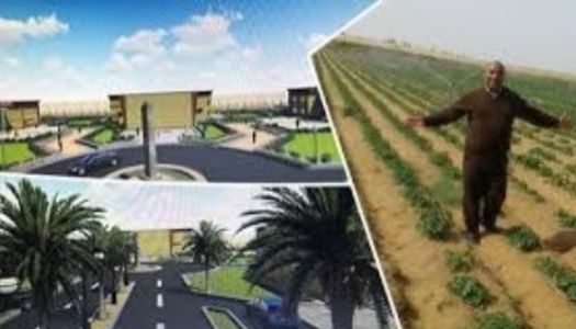 تنمية سيناء ومشروعات البنية التحتية في أرض الفيروز