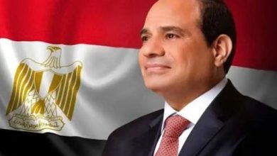الرئيس السيسي ورئيس الوزراء الماليزي في اللجنة المصرية الماليزية